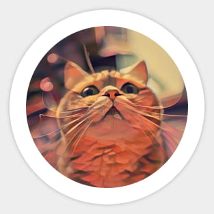 Active floppy cat Sticker